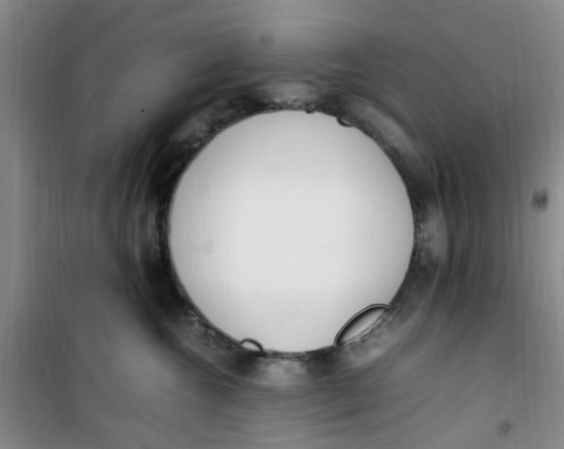 X0000100980572200807151418