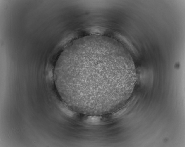 X0000100980573200807151418