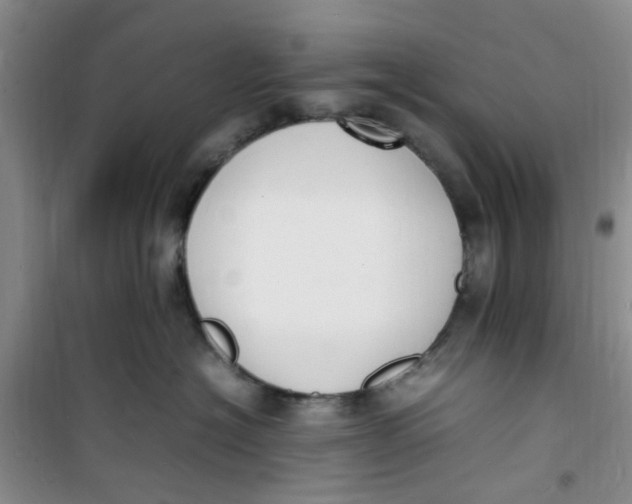 X0000100980574200807151418