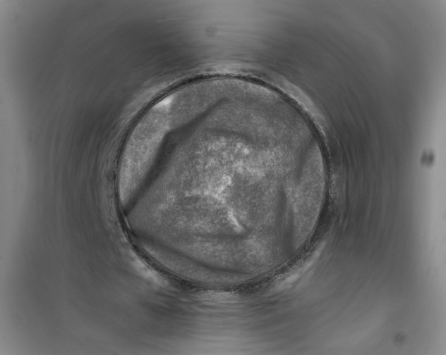 X0000100980577200807151417