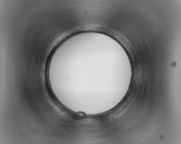 X0000100980578200807151417