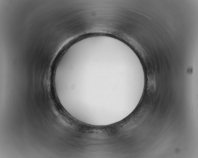 X0000100980580200807151417