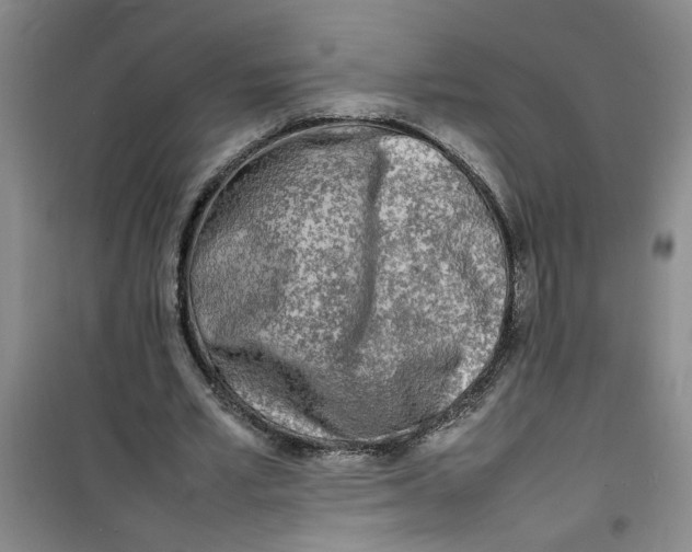 X0000100980581200807151417