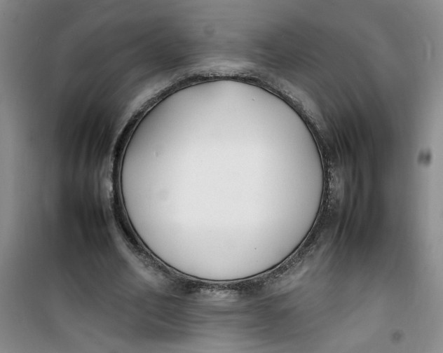 X0000100980582200807151417