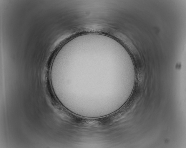 X0000100980583200807151417