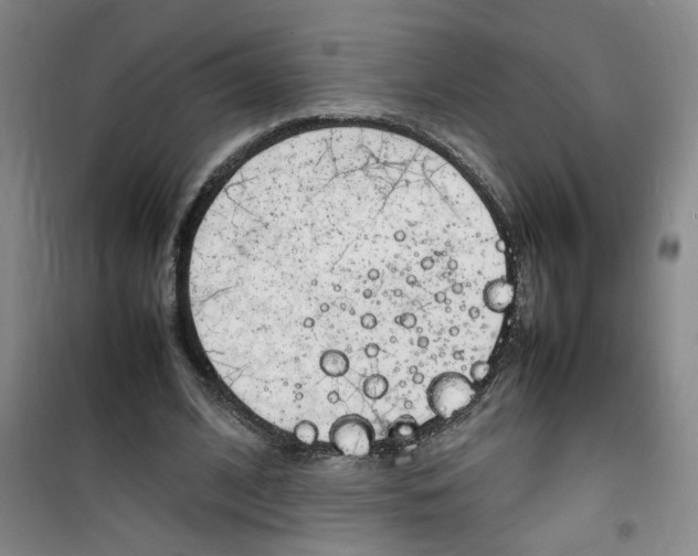 X0000100980584200807151417