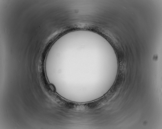 X0000100980587200807151417