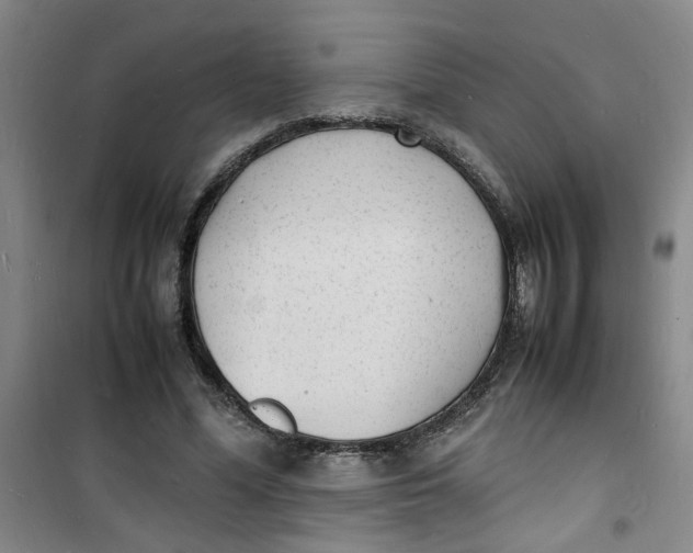 X0000100980588200807151417