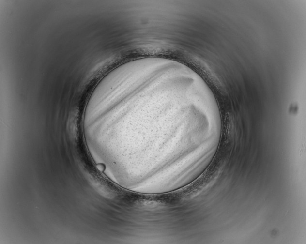 X0000100980590200807151417