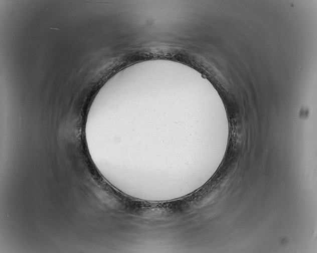 X0000100980593200807151417