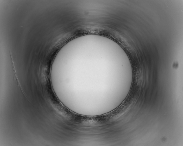 X0000100980594200807151417