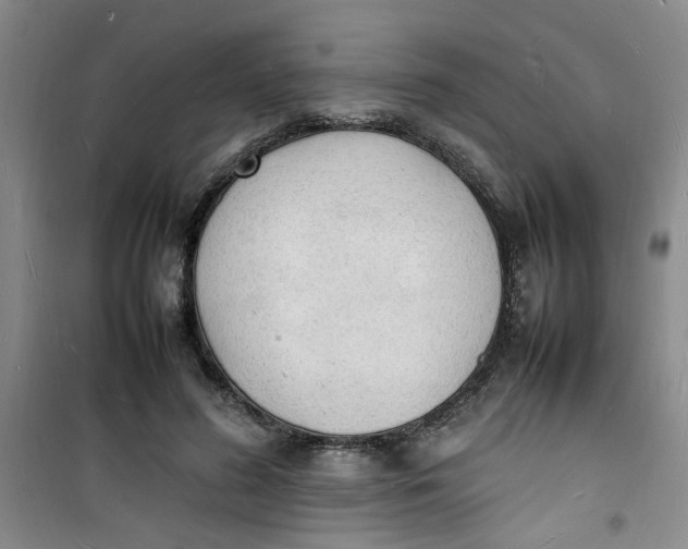 X0000100980596200807151417