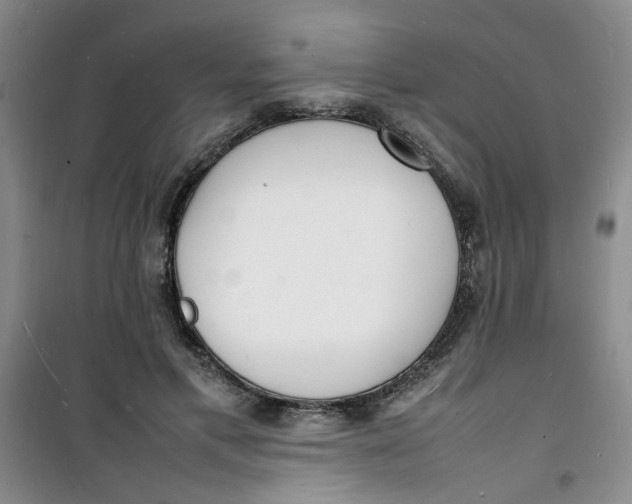 X0000100980597200807151417