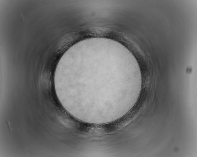 X0000100980599200807151417