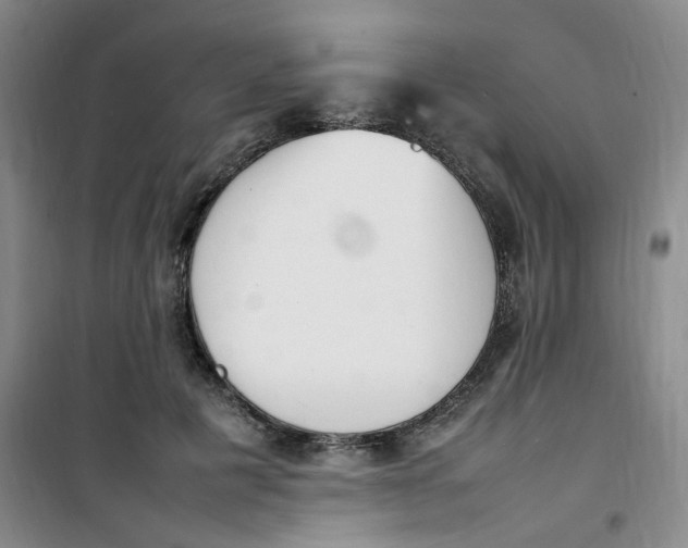 X0000100980601200807151417