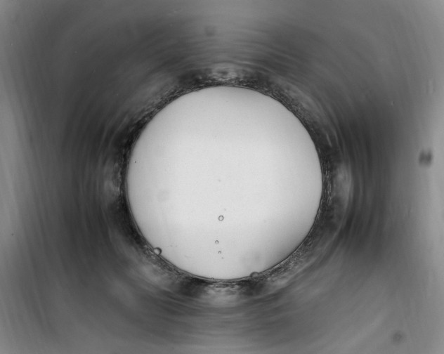 X0000100980606200807151417