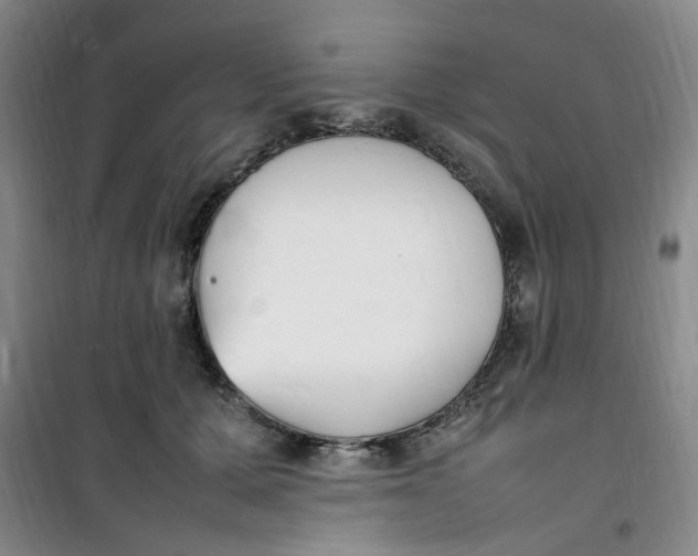 X0000100980607200807151417