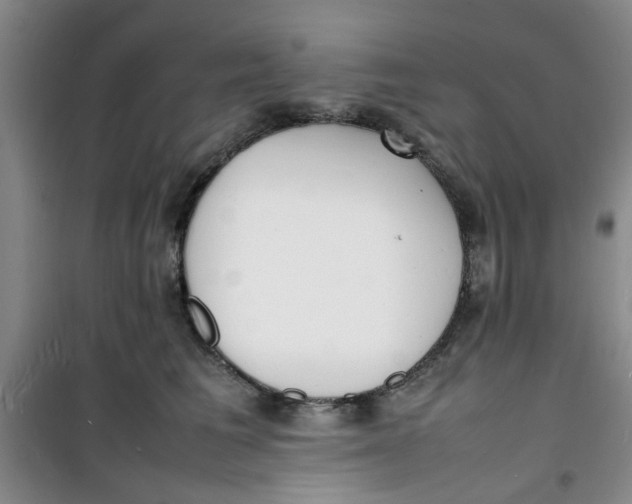 X0000100980613200807151417