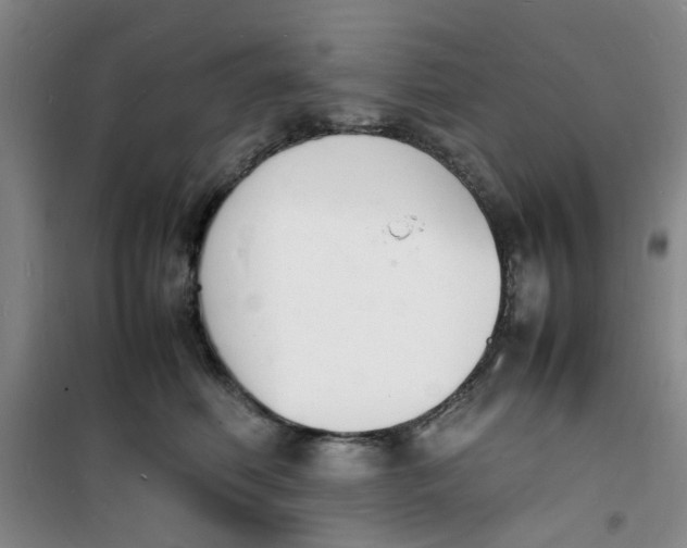 X0000100980614200807151417