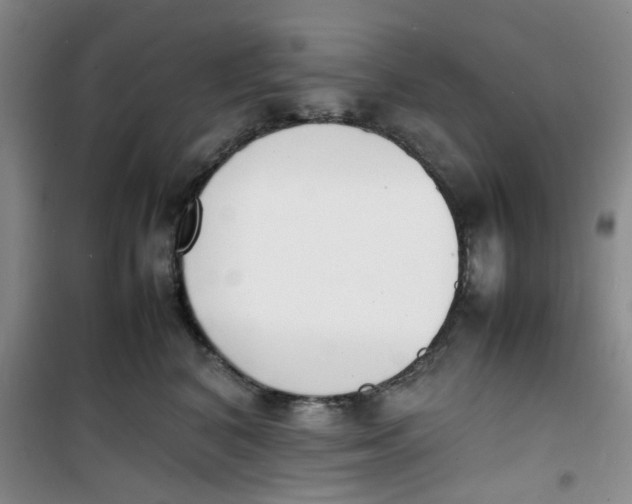 X0000100980616200807151417