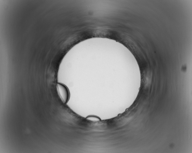 X0000100980619200807151417