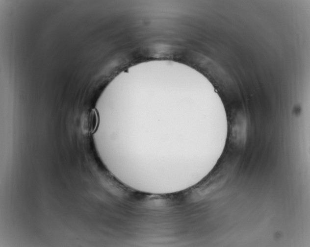 X0000100980620200807151417