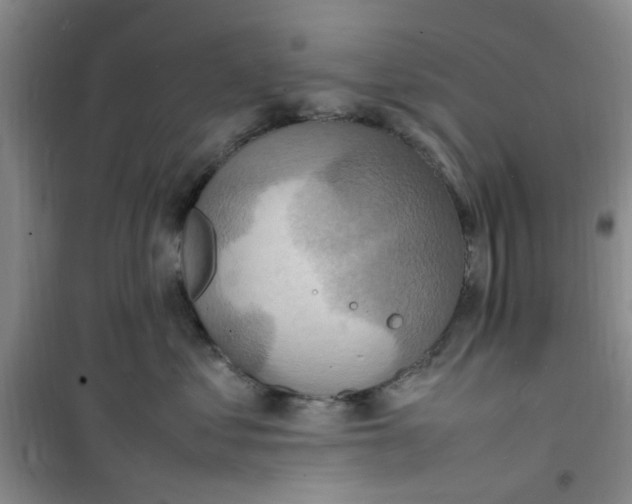 X0000100980621200807151417