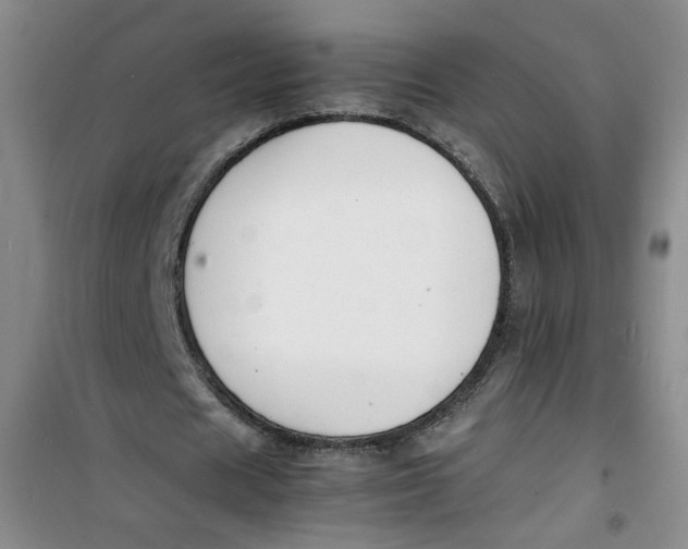 X0000100980625200807151416