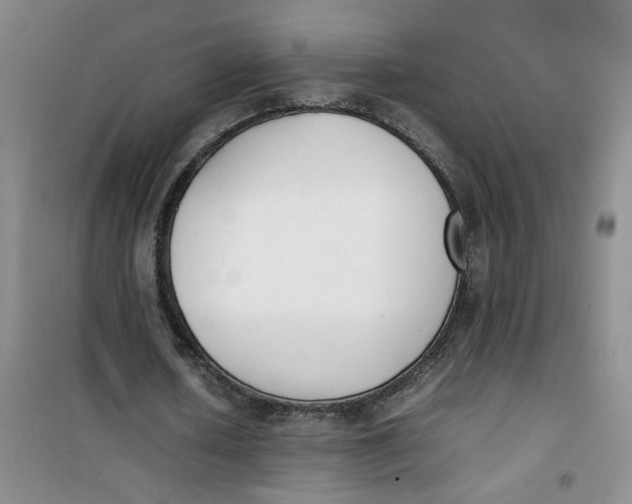 X0000100980626200807151416