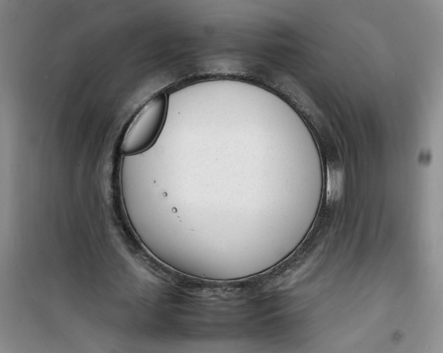 X0000100980627200807151416