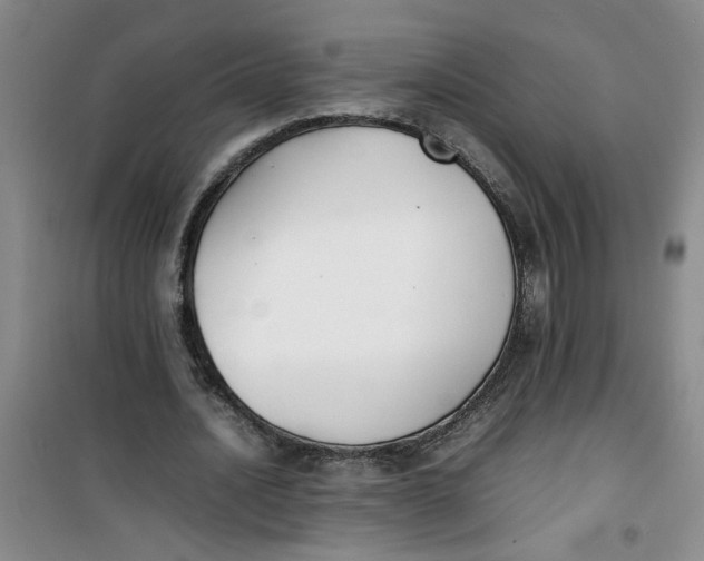 X0000100980628200807151416