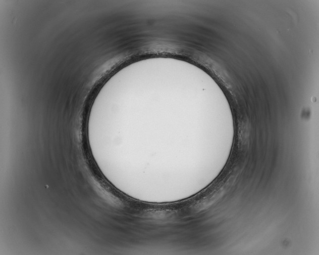 X0000100980629200807151416