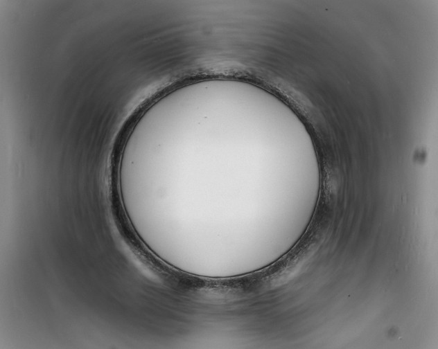 X0000100980630200807151416