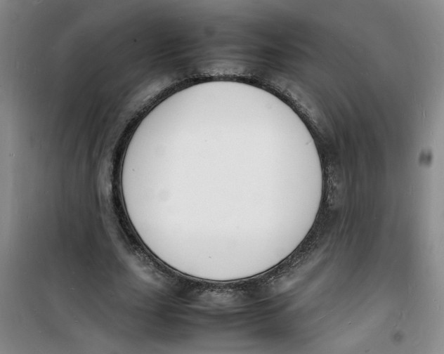 X0000100980631200807151416