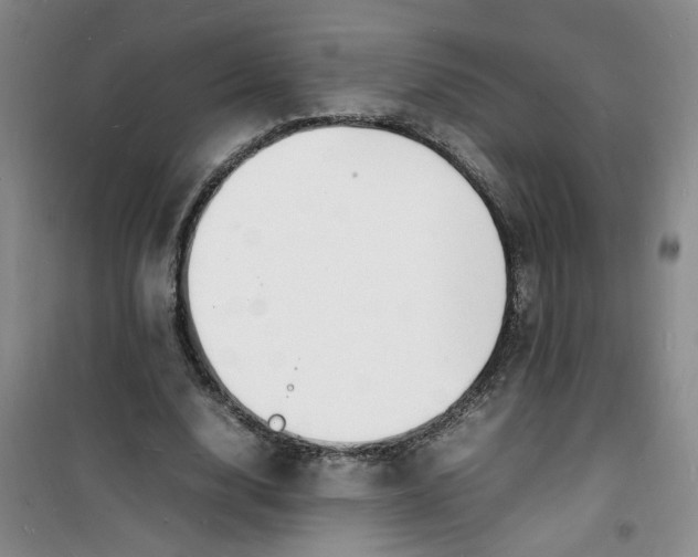 X0000100980632200807151416