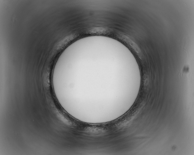 X0000100980633200807151416