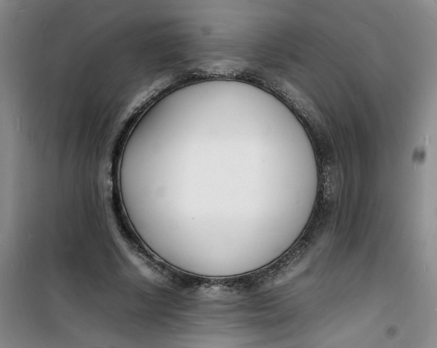 X0000100980634200807151416