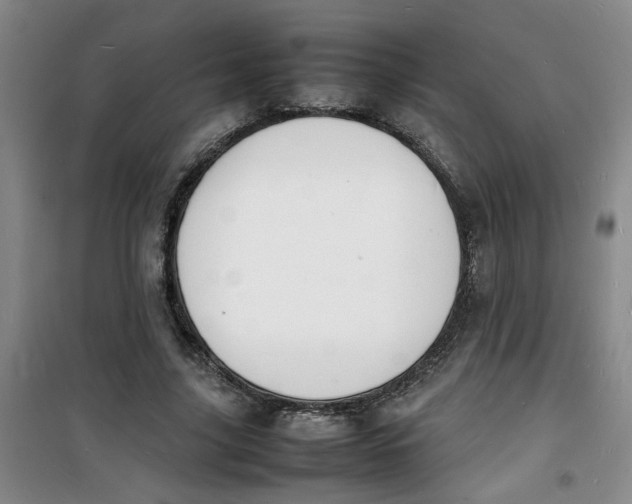 X0000100980635200807151416