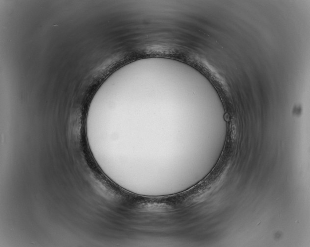 X0000100980637200807151416