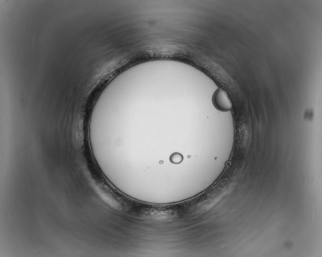 X0000100980638200807151416