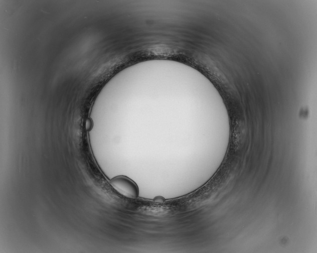 X0000100980639200807151416