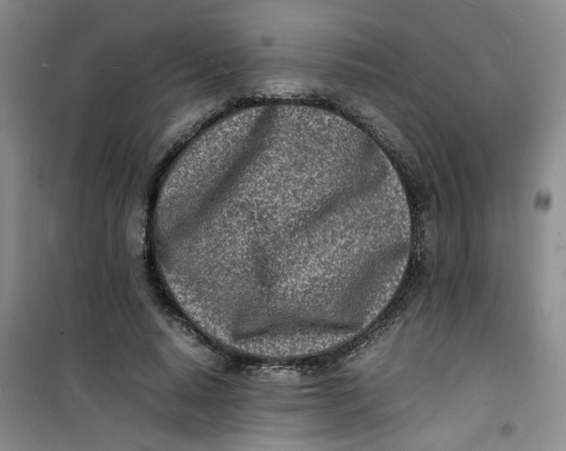 X0000100980640200807151416