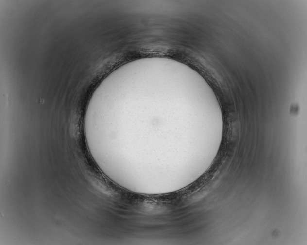 X0000100980641200807151416