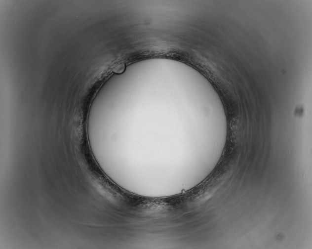 X0000100980642200807151416