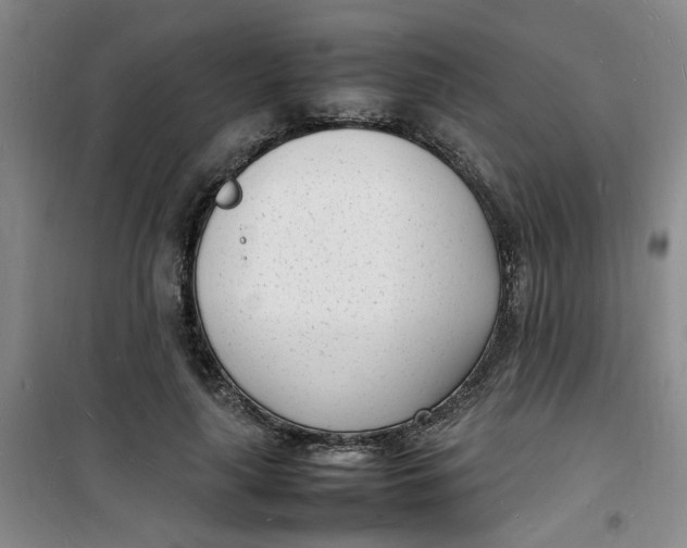 X0000100980643200807151416