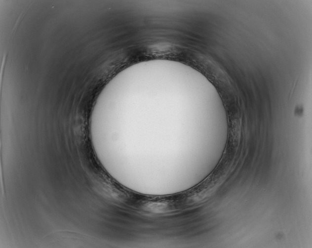 X0000100980653200807151416