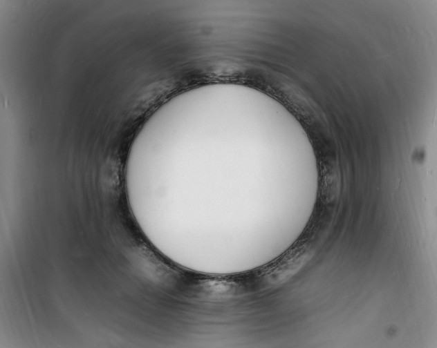 X0000100980654200807151416