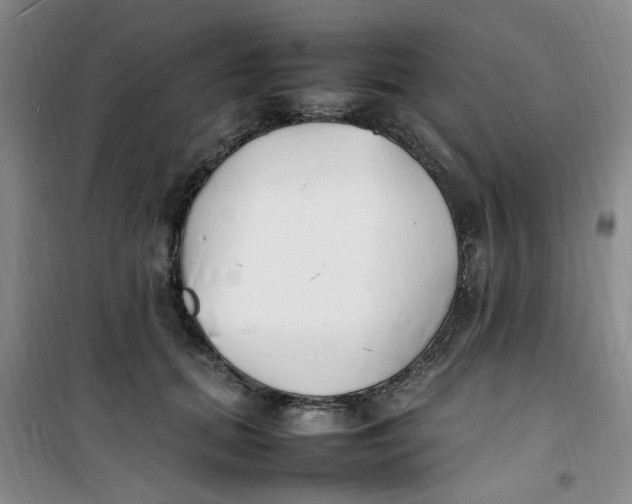 X0000100980655200807151416