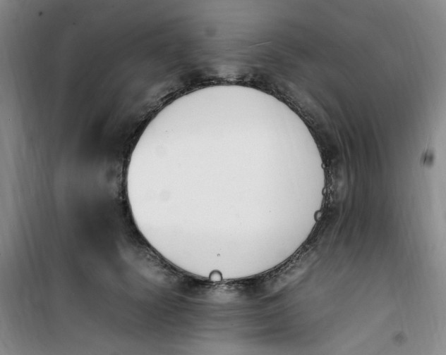 X0000100980656200807151416