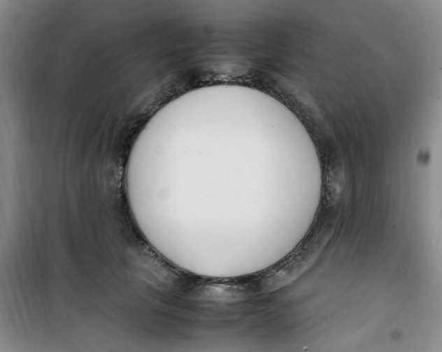 X0000100980657200807151417